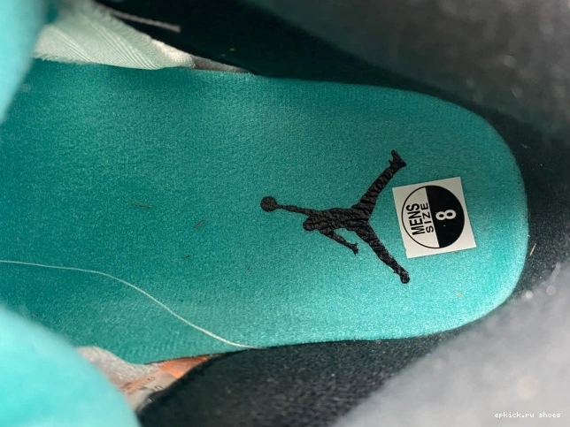 Cheap Air Grape 5 Jordan 136027-108 (2013) Retro 0817